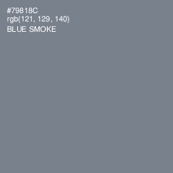 #79818C - Blue Smoke Color Image